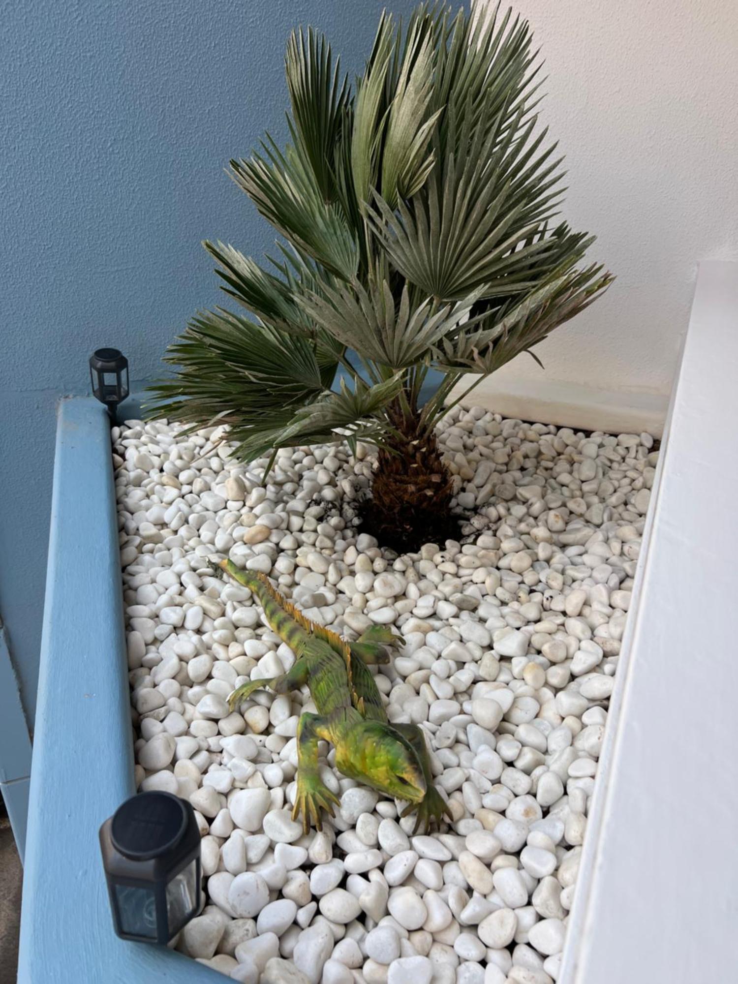 Air Conditioning, Private Parking And Fully Equipped Kitchen In Hotel Room In Golf Del Sur, Tenerife San Miguel de Abona Exterior foto